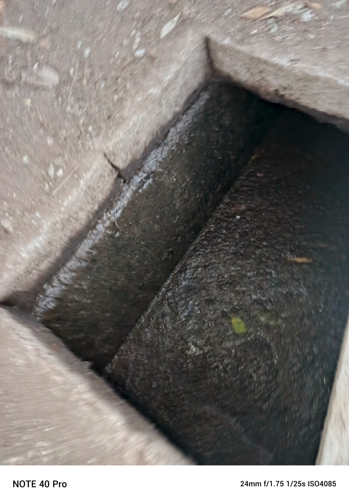 Equipo profesional de Servicios Rivera trabajando en limpieza de fosas sépticas